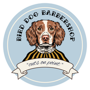 birddogbs.com